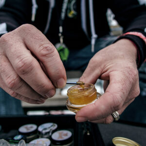 cannabis concentrates